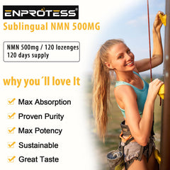 Enprotess NMN bottle dispensing a lozenge for NAD support.