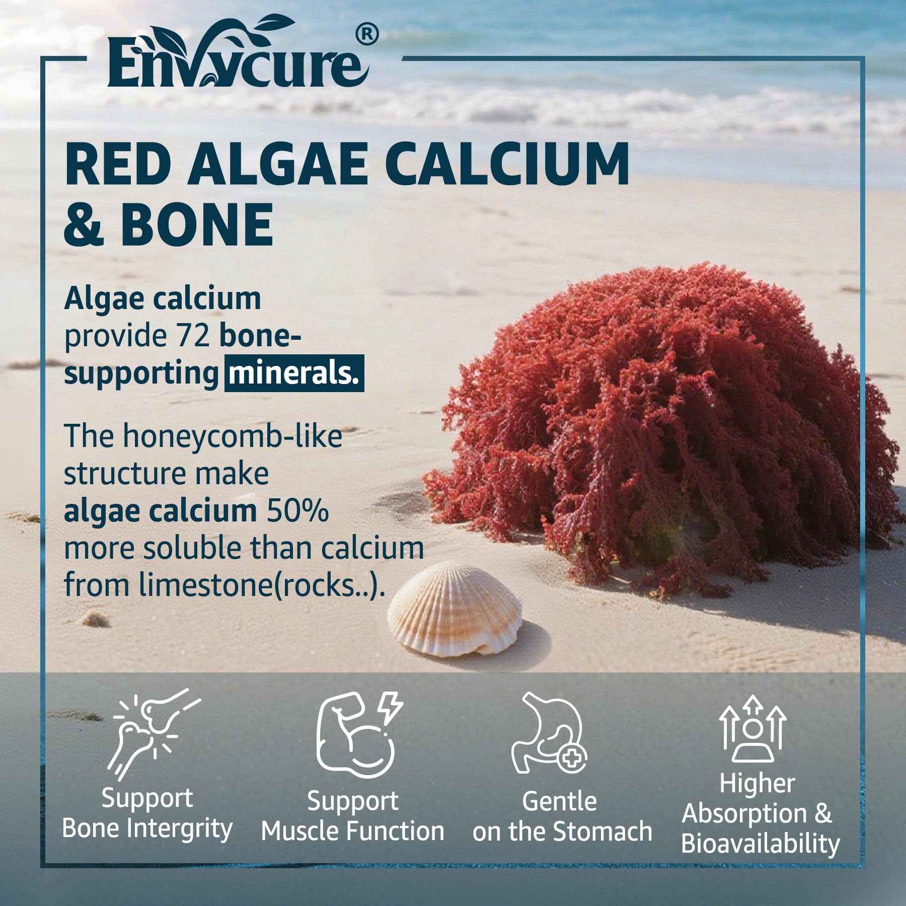 EnvyCure Calcium Gummies ingredient panel highlighting D3, K2 and magnesium.