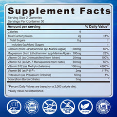 Close-up of EnvyCure Calcium Gummies orange flavor highlighting tasty texture.