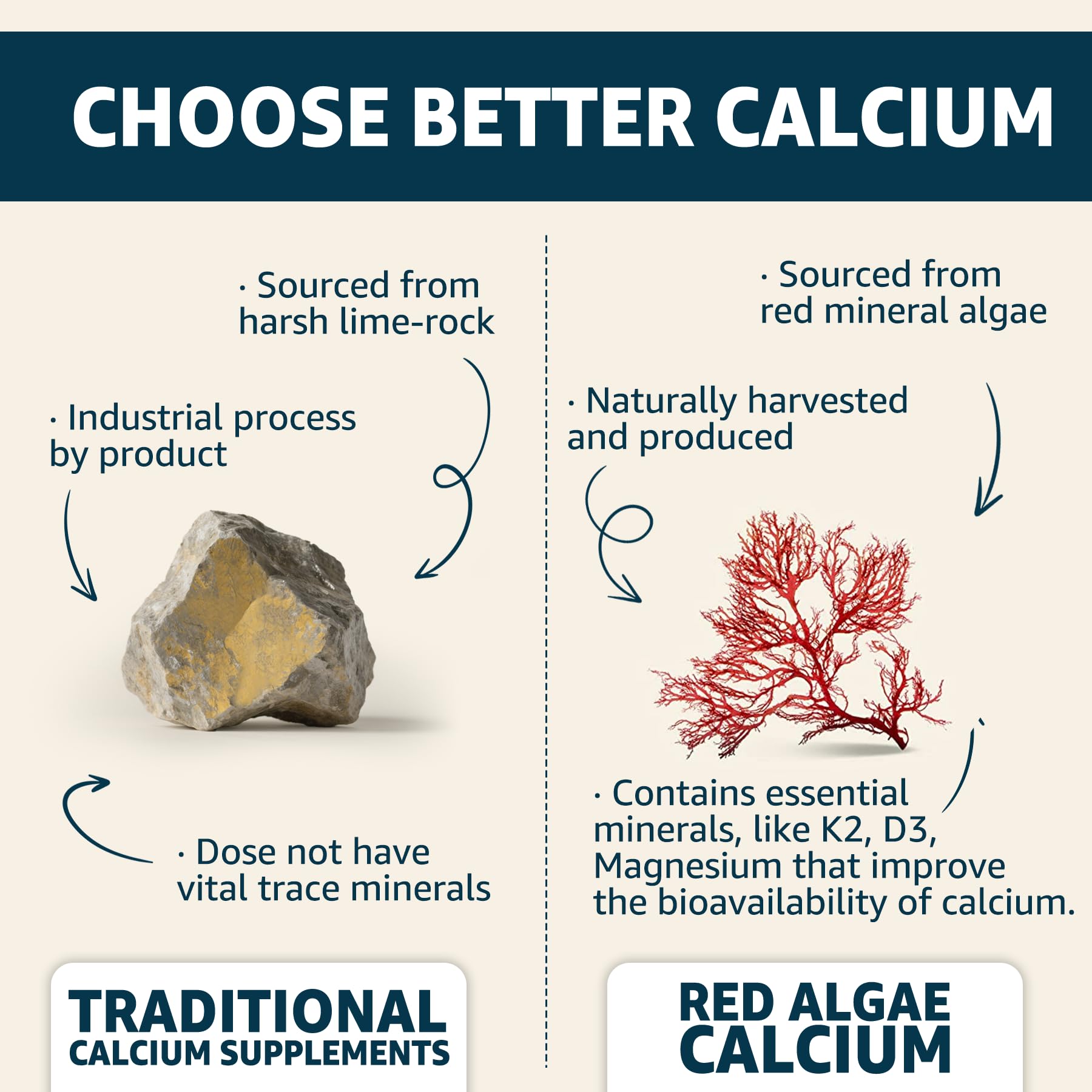 EnvyCure Calcium Gummies two-pack display emphasizing value and convenience.