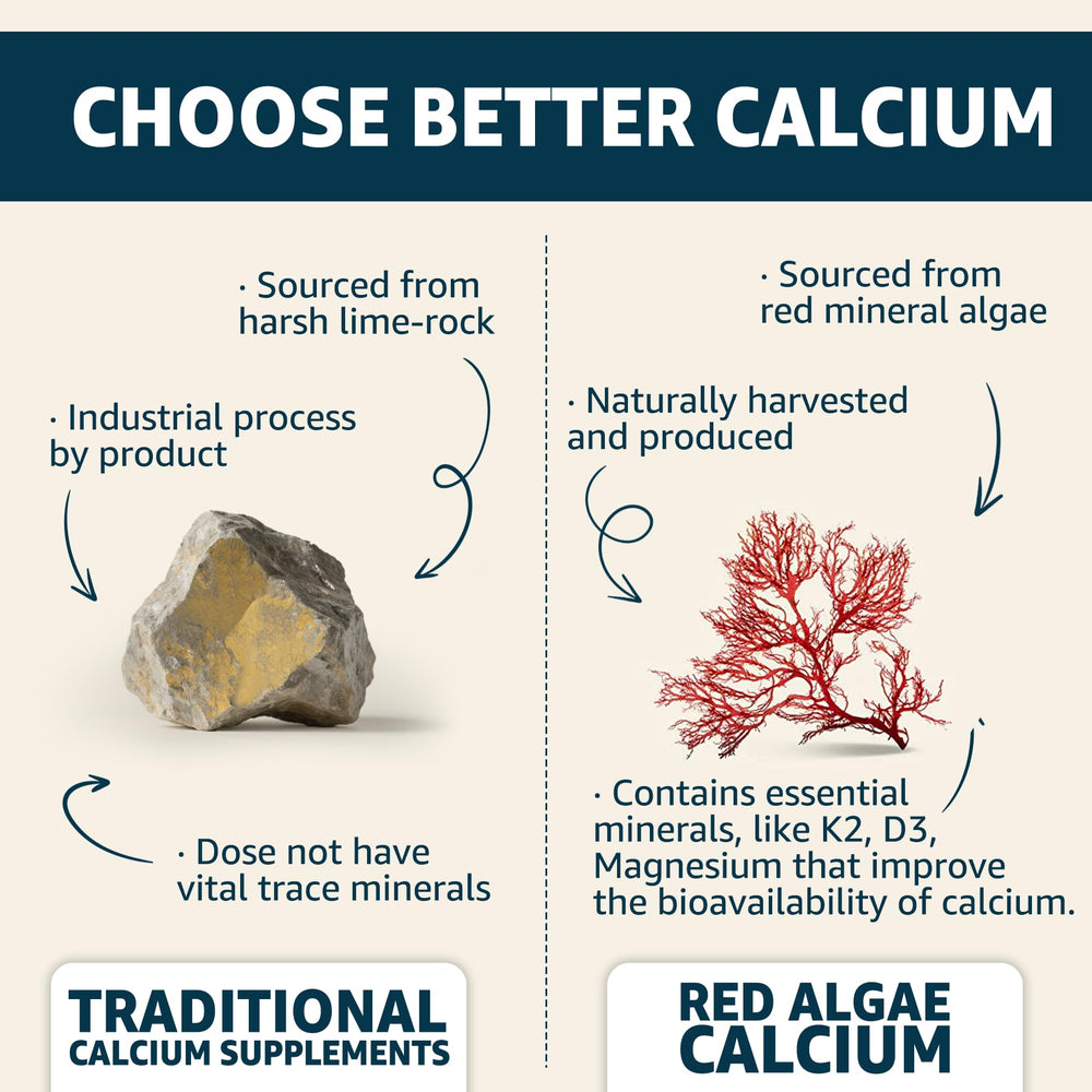 EnvyCure Calcium Gummies two-pack display emphasizing value and convenience.