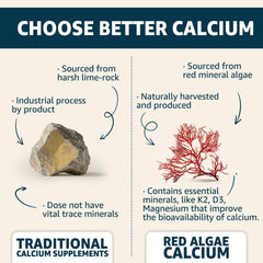 EnvyCure Calcium Gummies two-pack display emphasizing value and convenience.