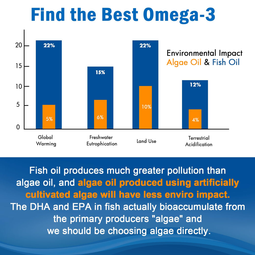 Two-pack EnvyCure Omega 3 Gummies for ongoing daily use