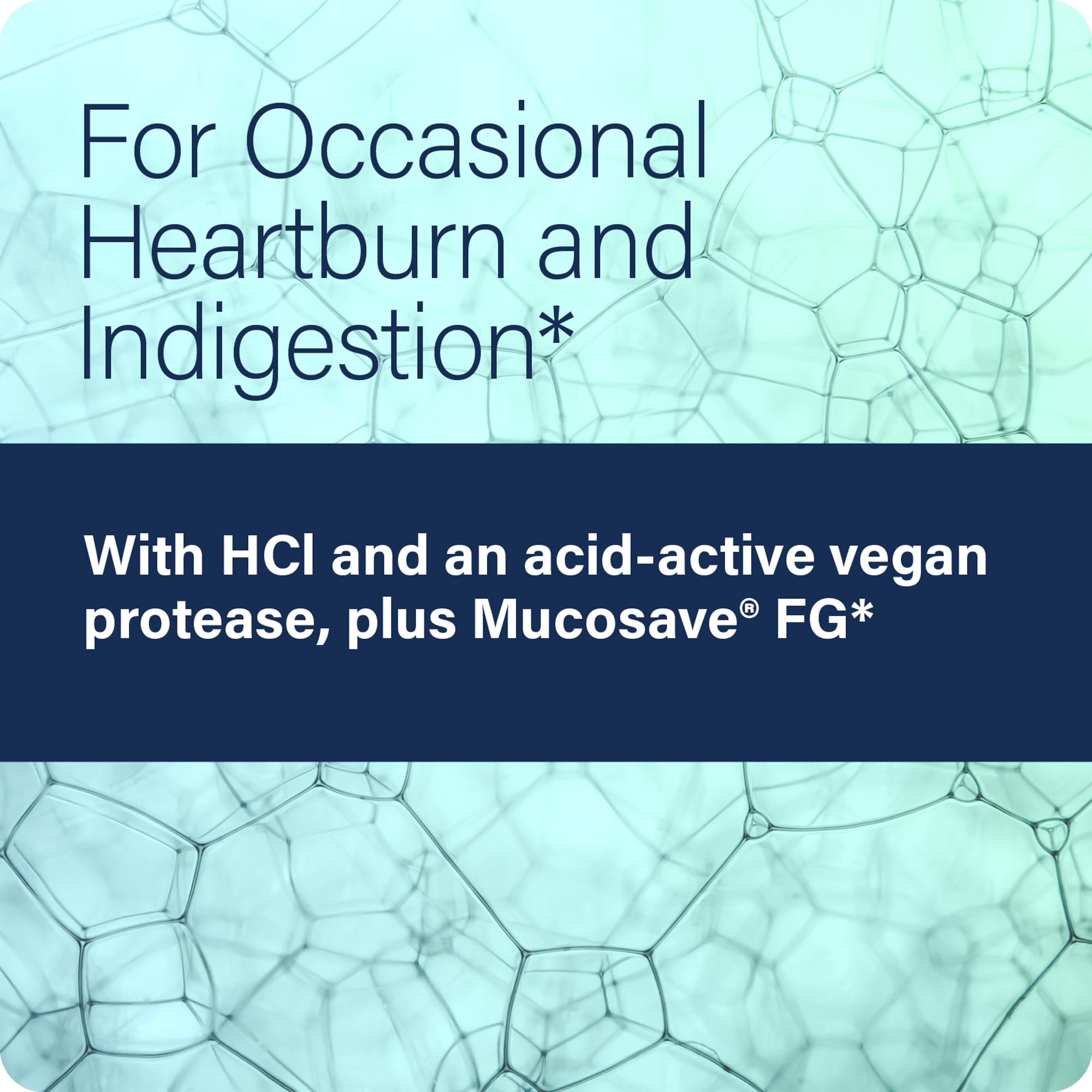 Enzyme Science Betaine HCl with Pepsin bottle on counter ready for meals.