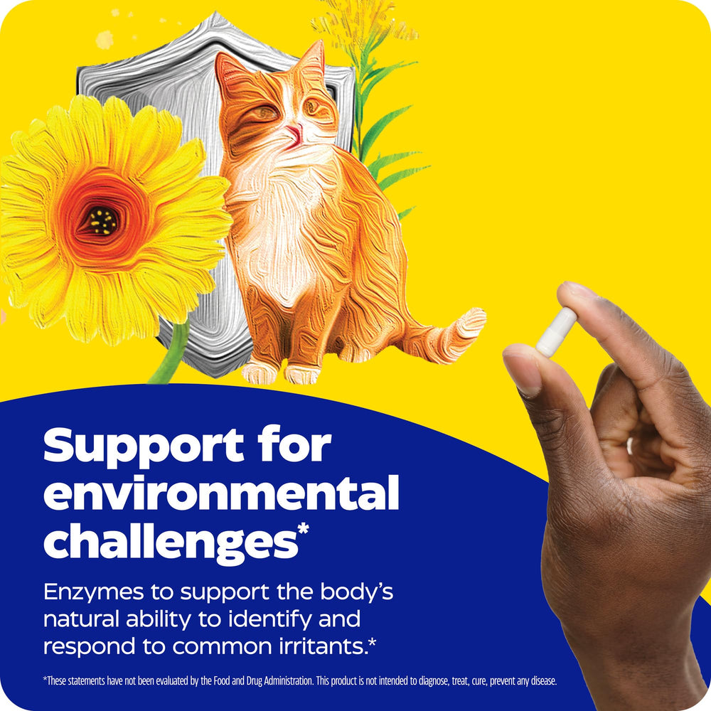 Enzymedica Allerase capsules spilled, showcasing convenient on-the-go option.