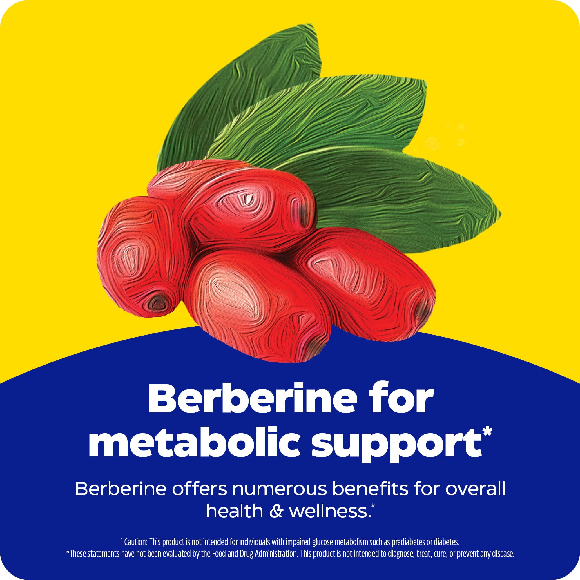 Enzymedica Berberine plant image shows Barberry for sustainable harvest.