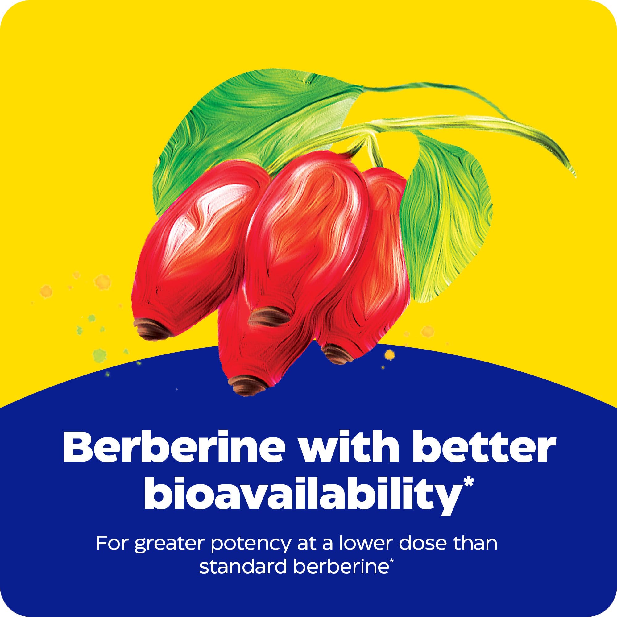 Phytosome diagram shows improved absorption for Berberine Phytosome.