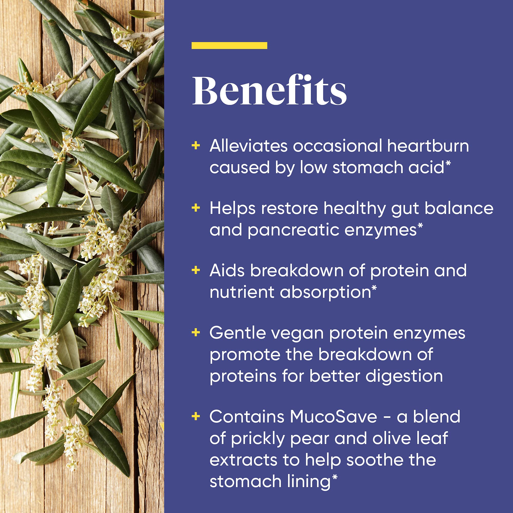 Olive leaf extract in Enzymedica Betaine HCl formula