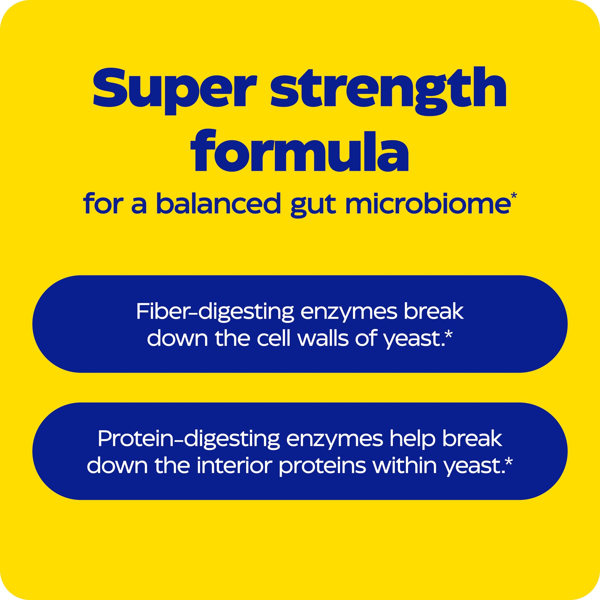 Enzymedica Candidase gut-health scene illustrating daily routine support for digestive balance