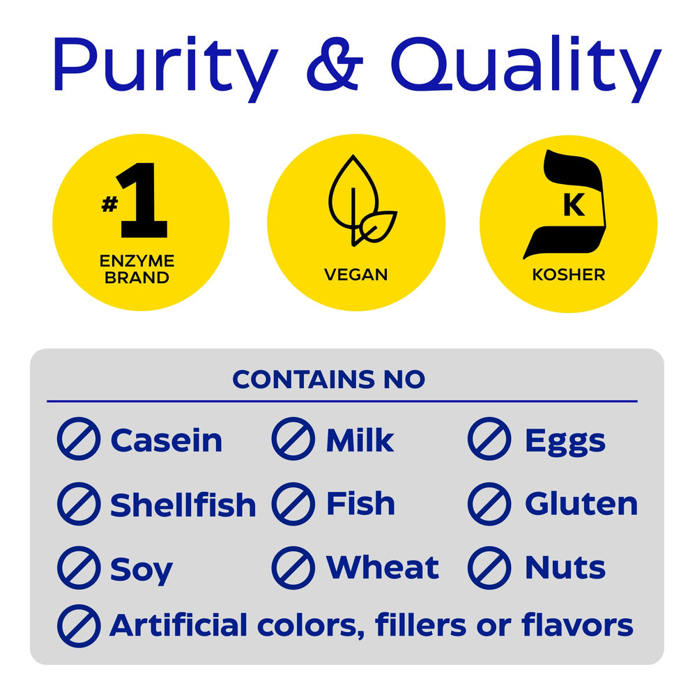 Enzymedica DairyAssist plate with cheese demonstrates meal confidence
