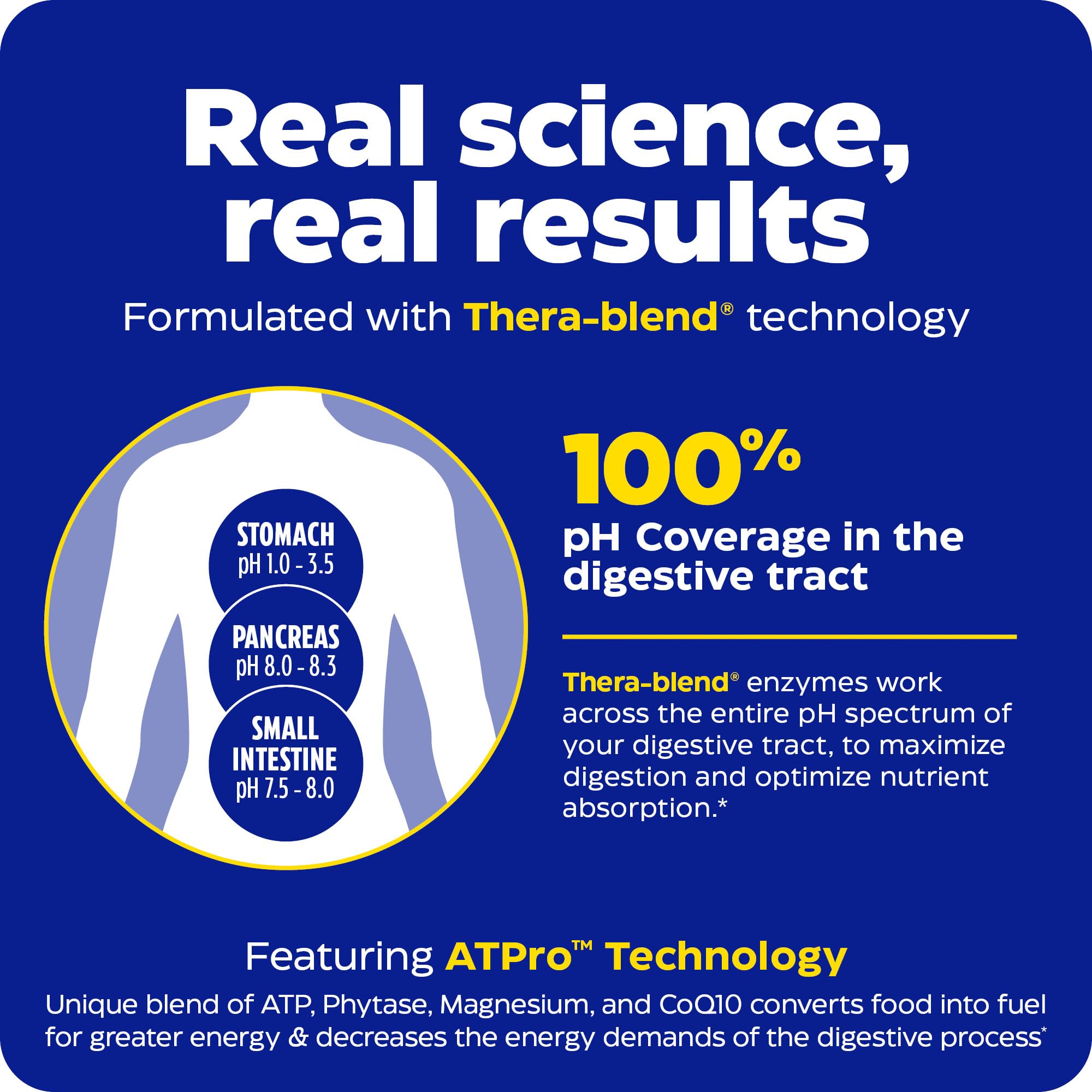 Digestive process diagram style image featuring Digest Gold + ATPro concept.