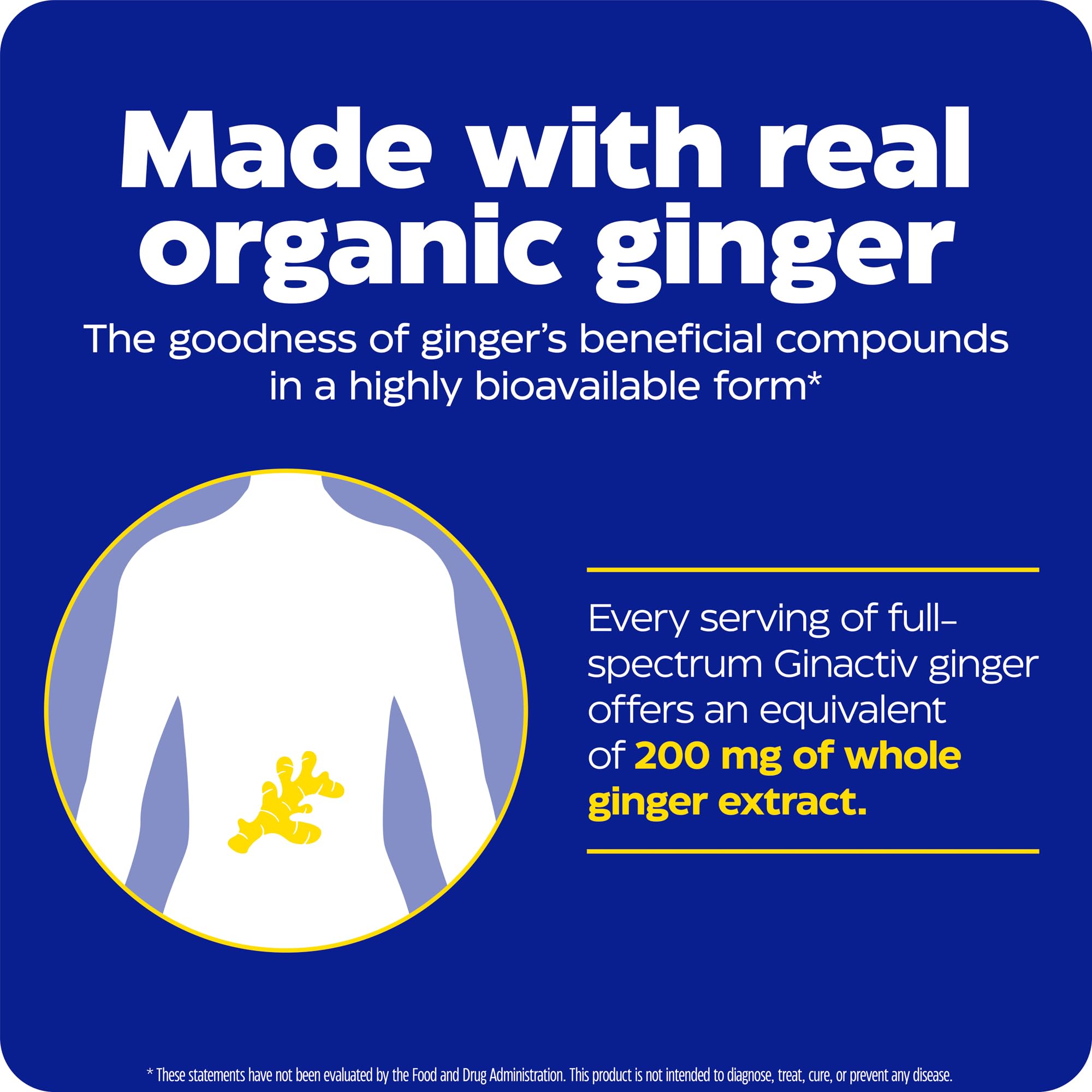 Enzymedica Ginger & Vitamin B6 Gummies 60-count bottle on display