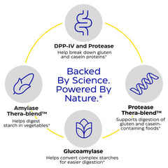 GlutenEase Thera-Blend diagram illustrates broad enzyme activity.