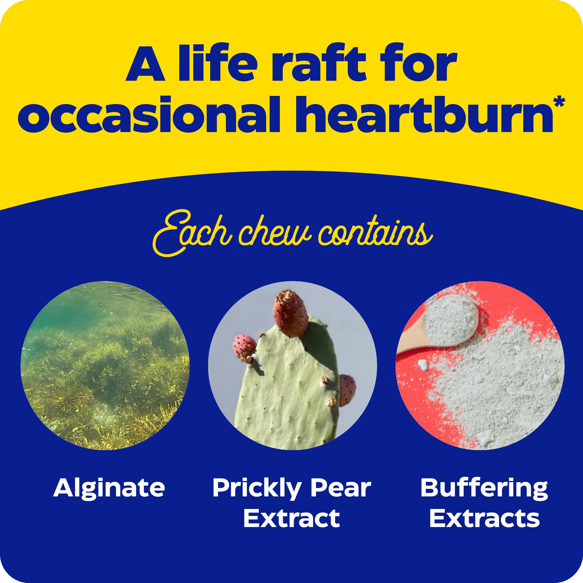 Flavor profile of Enzymedica Heartburn Soothe orange vanilla chewables