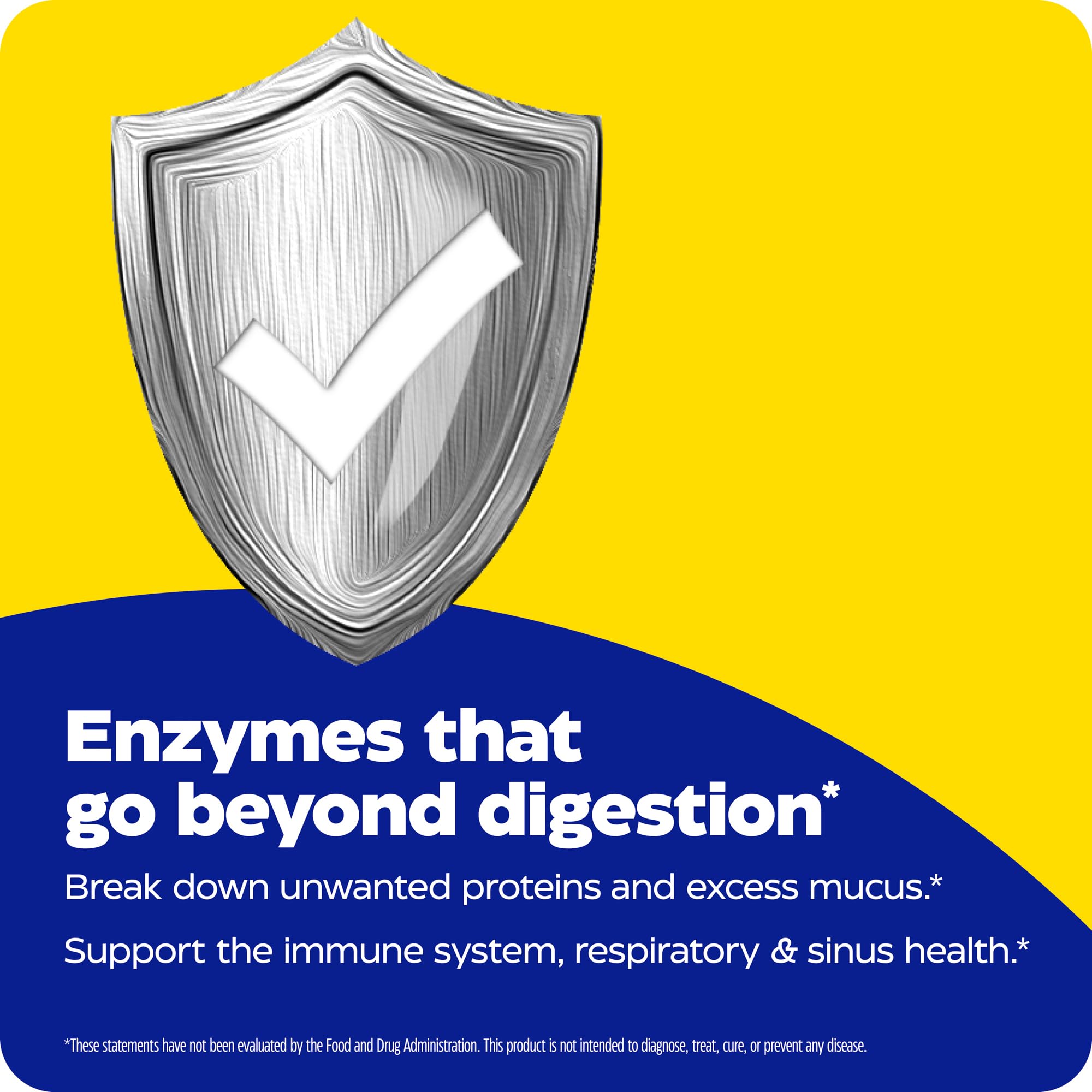 Enzymedica Immune Defense infographic explains immune support with enzyme blends in clear visuals.
