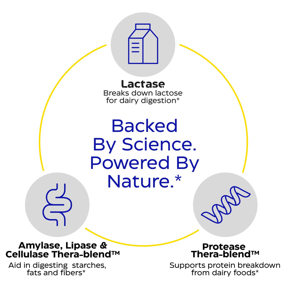 Enzymedica Lacto ingredients label lists lactase, protease, and lipase.