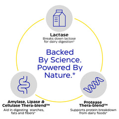 Enzymedica Lacto ingredients label lists lactase, protease, and lipase.