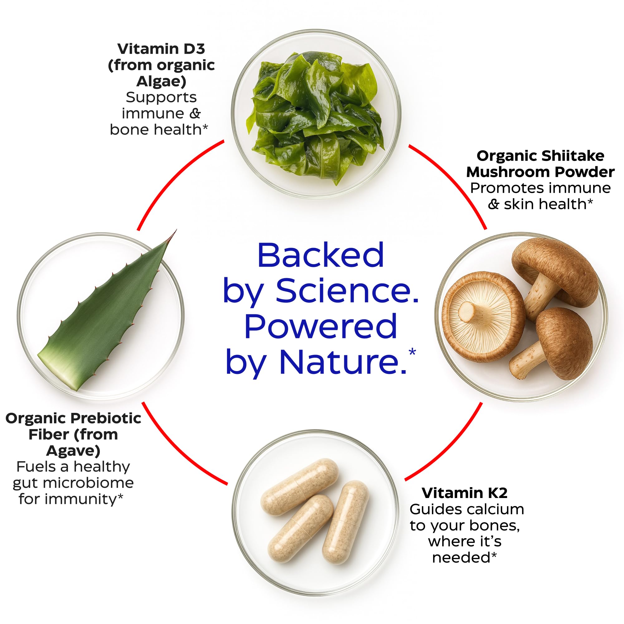 Capsule close-up illustrating vegan, gluten-free formulation without common allergens.