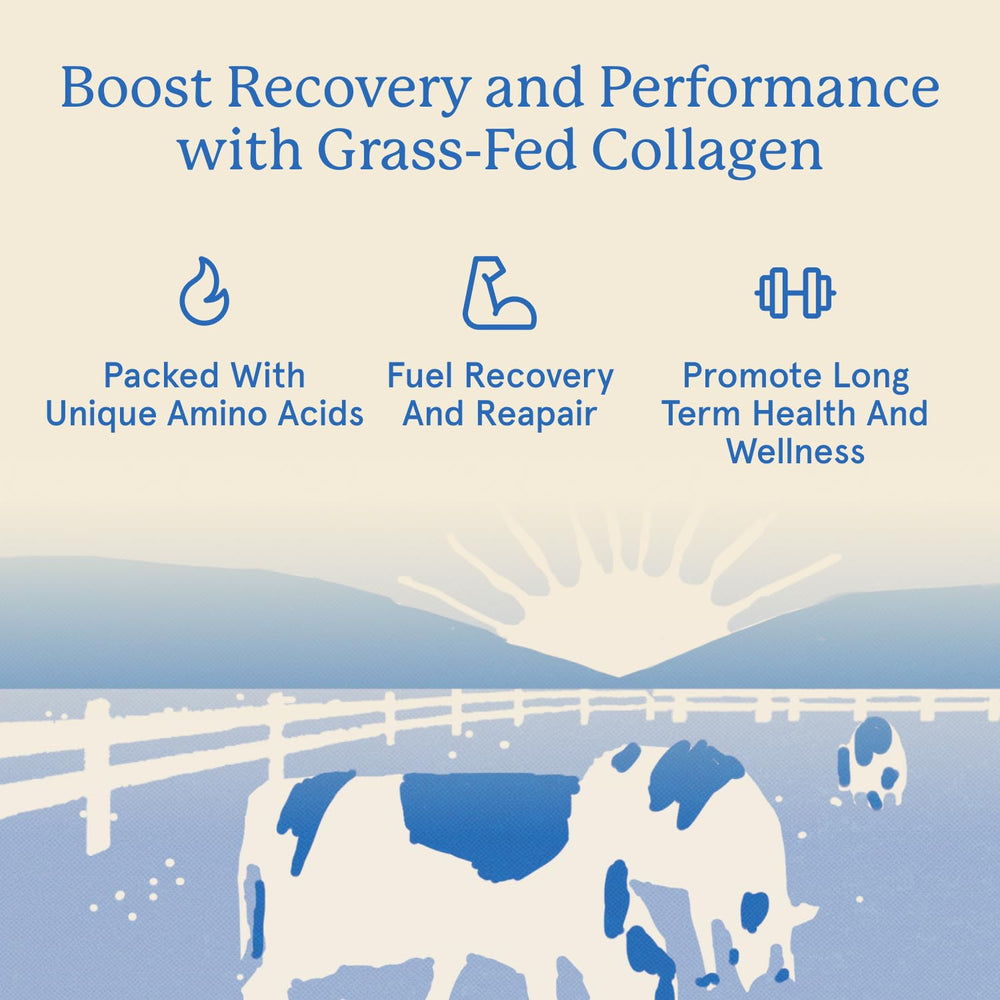 Equip Grass-Fed Collagen packaging on shelf emphasizes quality and purity.