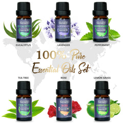 EQUSUPRO essential oils set eucalyptus-tea-tree for a fresh, clean scent.