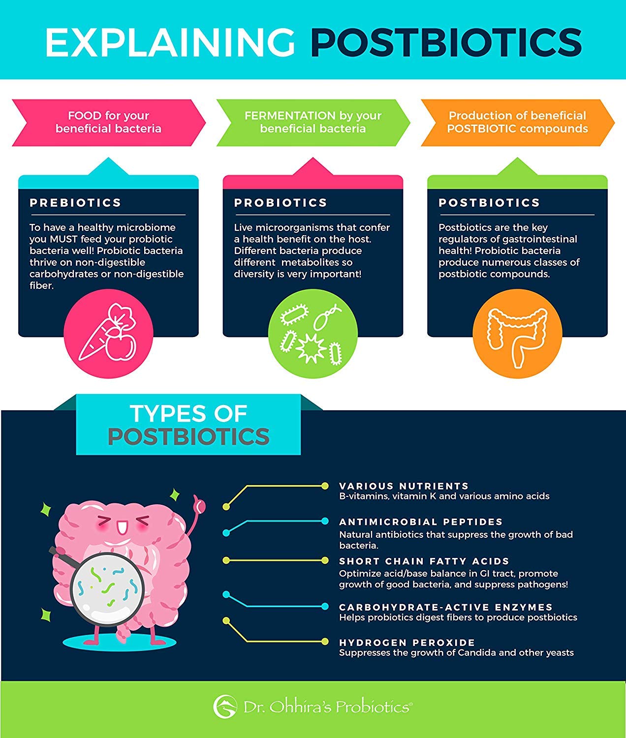 Essential Formulas Dr Ohhira's Probiotics daily-use scene with bottle for routine gut care.