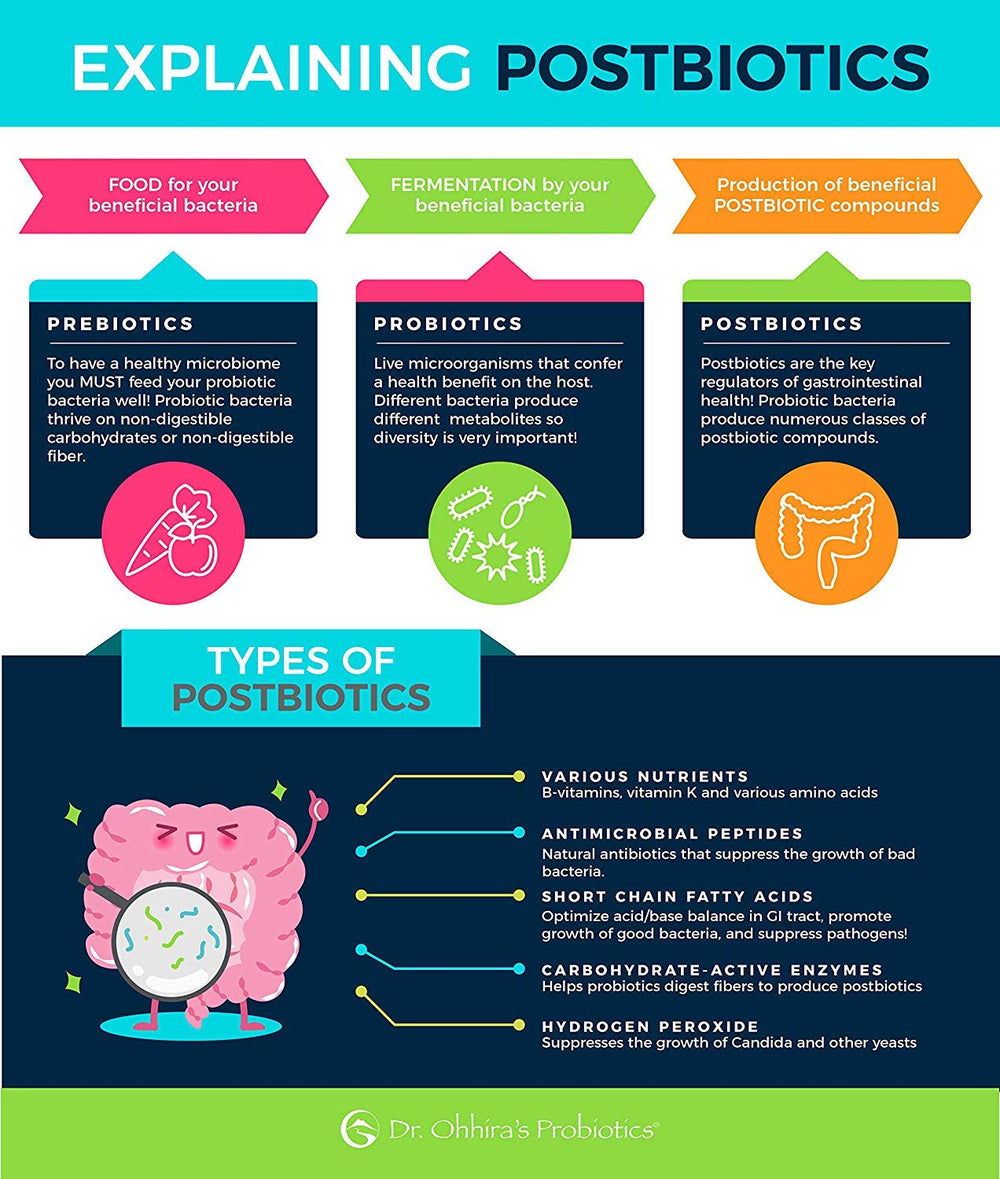 Essential Formulas Dr Ohhira's Probiotics daily-use scene with bottle for routine gut care.