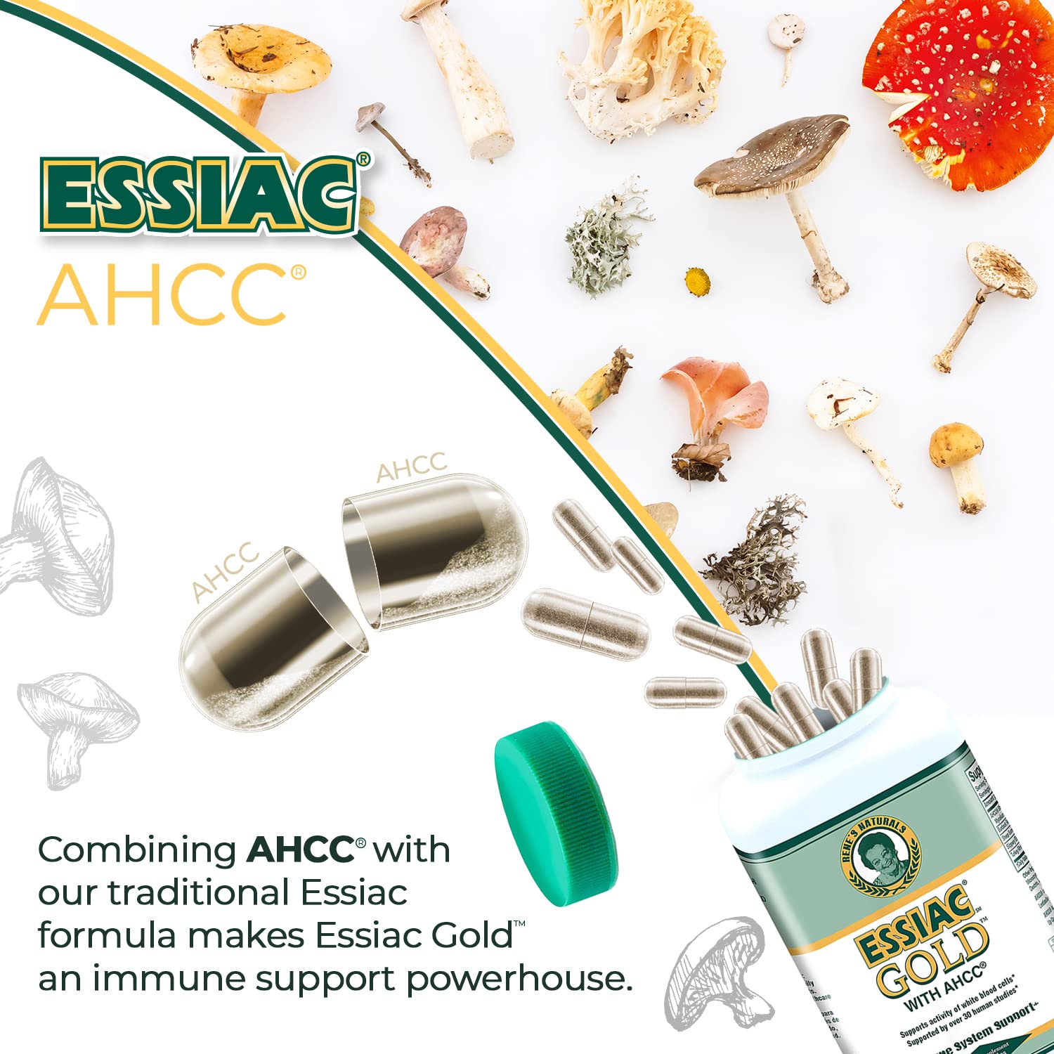 Essiac Gold lifestyle scene suggesting wellness and vitality.