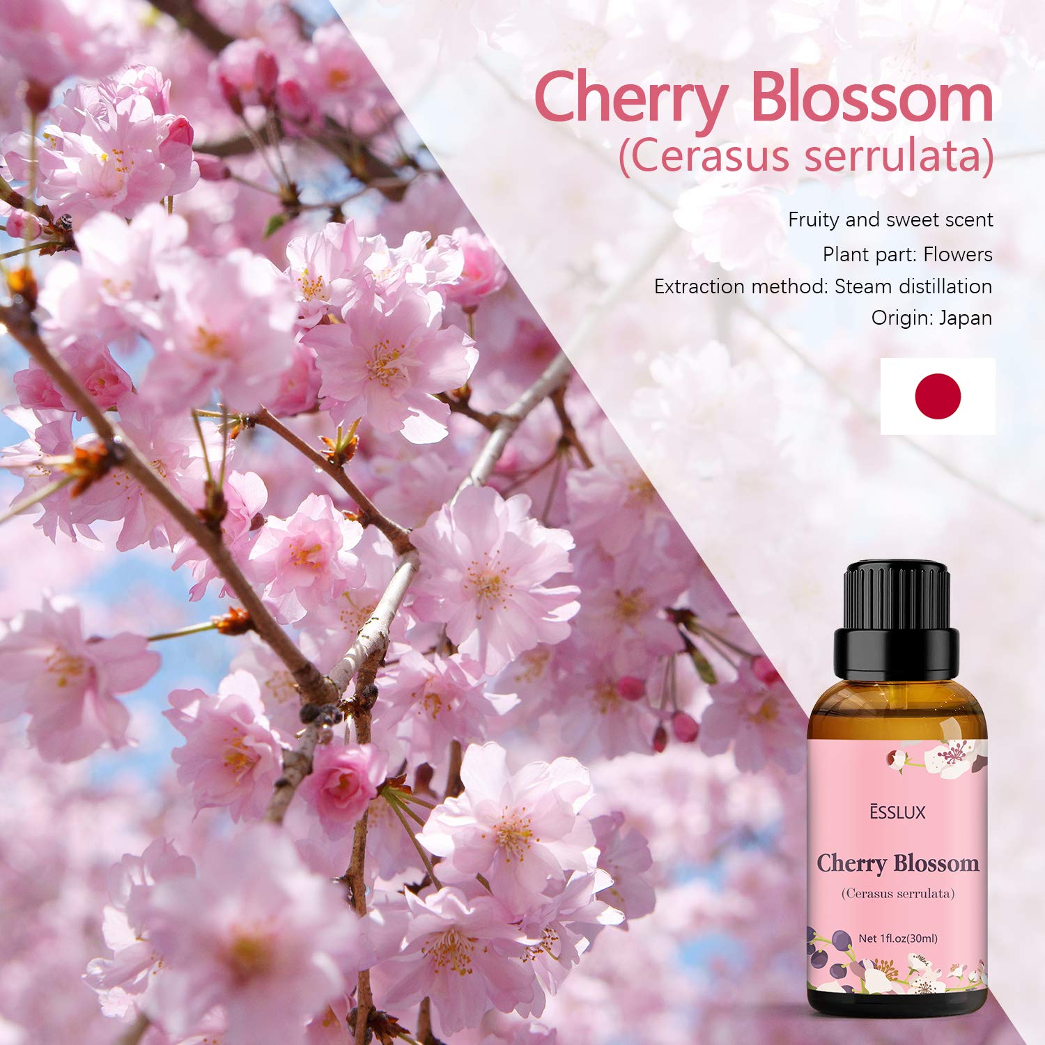 Esslux Cherry Blossom oil diffusing with a diffuser, creating a calming ambiance.