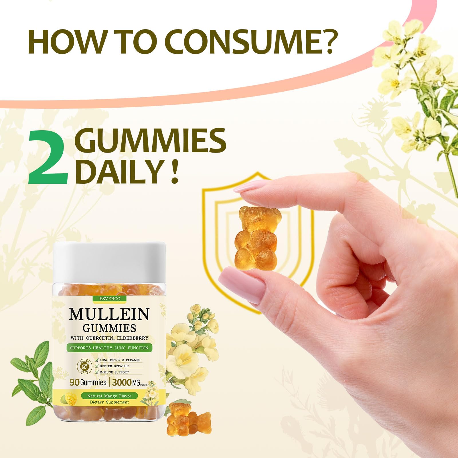 Esverco Mullein Gummies ingredients collage featuring quercetin and elderberry