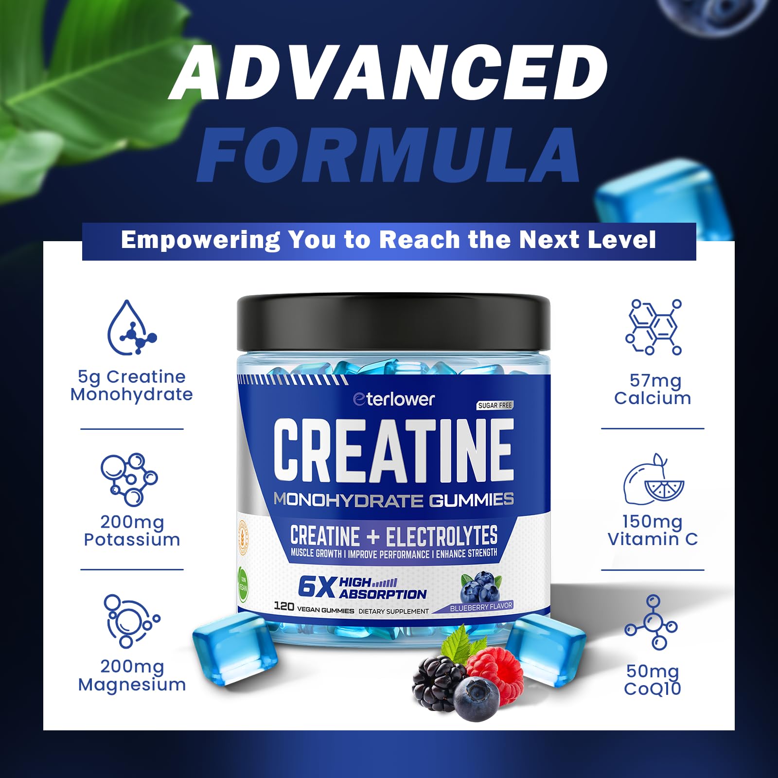 eterlower Creatine Monohydrate Gummies vitamins C, B6, B12—nutrients for energy metabolism