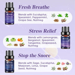 Ethlauff Sweet Dreams lavender benzoin orange aroma for peaceful nights
