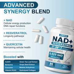 ETOVO NAD+ Plus capsules close-up highlighting liposomal absorption technology.