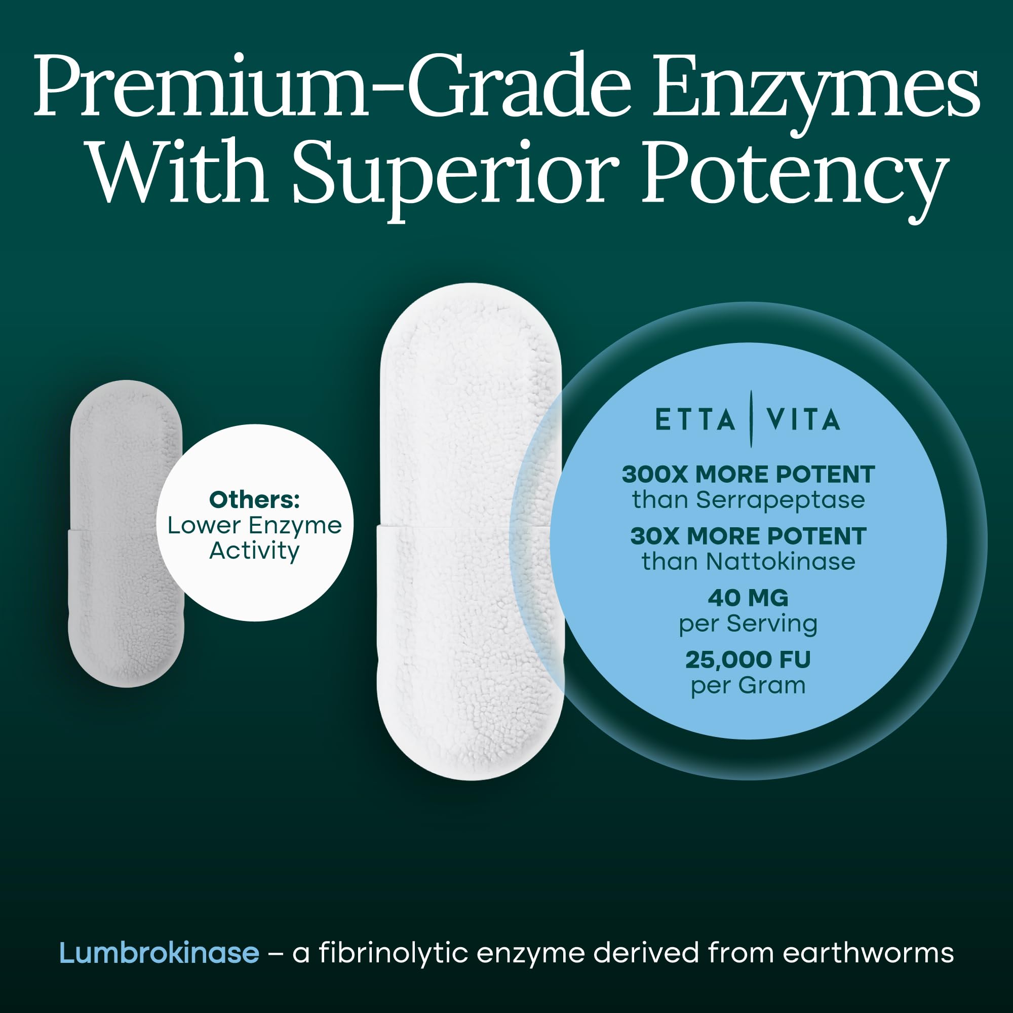 Etta Vita Potent Lumbrokinase digestive health concept image emphasizes smoother meals.