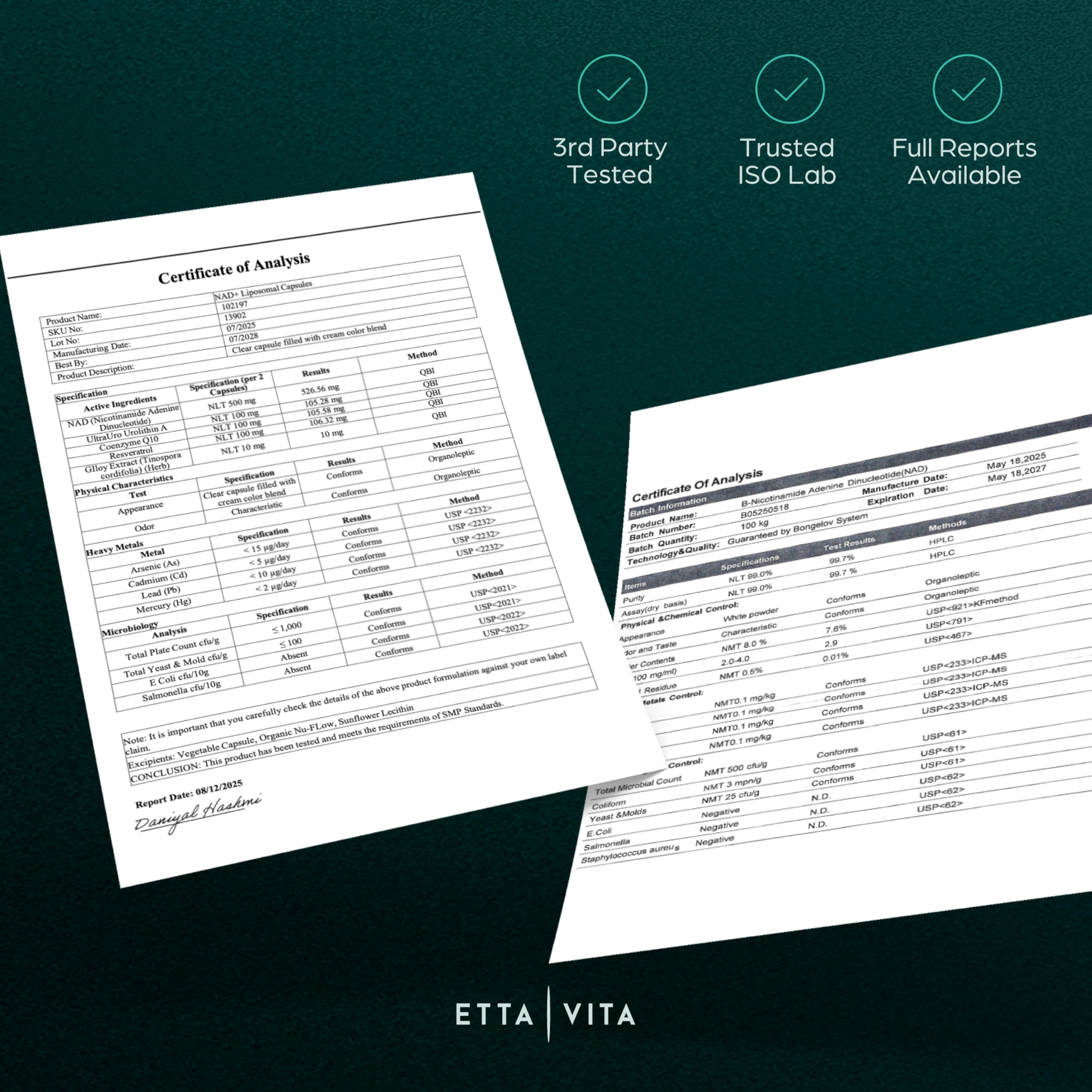 Etta Vita resveratrol and giloy ingredients near bottle, signaling antioxidant support.