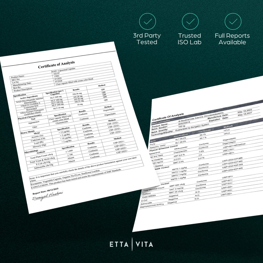 Etta Vita resveratrol and giloy ingredients near bottle, signaling antioxidant support.