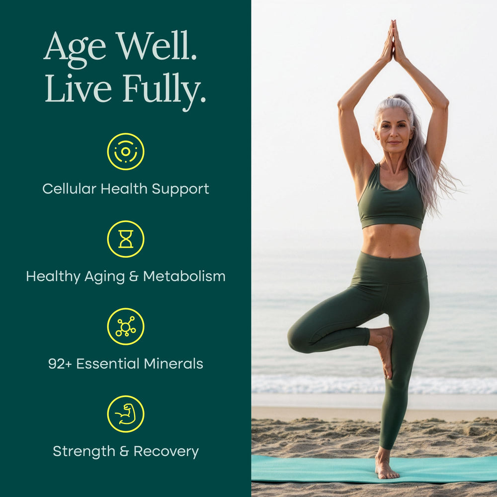 Tongkat Ali capsules highlight vitality for active daily life.