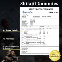 Eullsi Ashwagandha gummies pack highlights daily stamina support for active adults.
