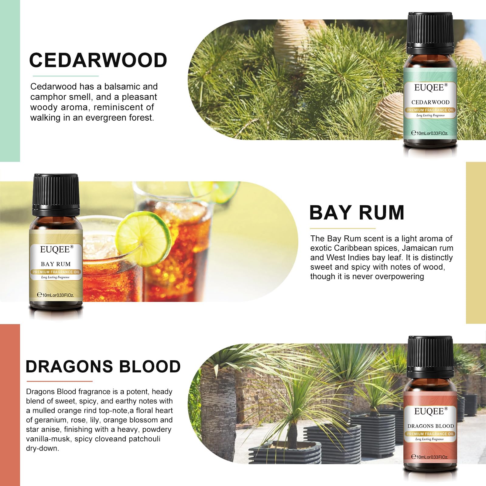 EUQEE Bay Rum fragrance oil 10ml, spicy-citrus twist for grooming rituals.