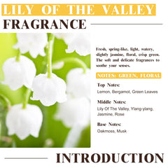 EUQEE Lily Valley fragrance bottle shown with diffuser for ambient scent.