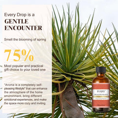 EUQEE Dragons Blood candle-making oil for custom scented candles.