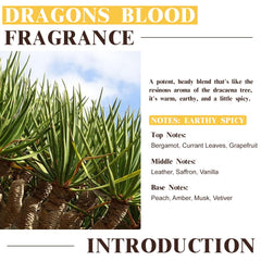 EUQEE Dragons Blood diffuser blend to elevate room ambiance with floriental notes.