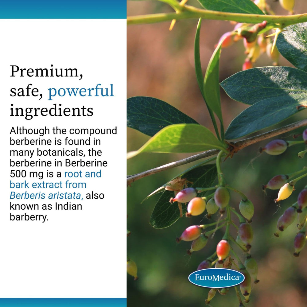 EuroMedica vegan capsules ready for daily metabolic support