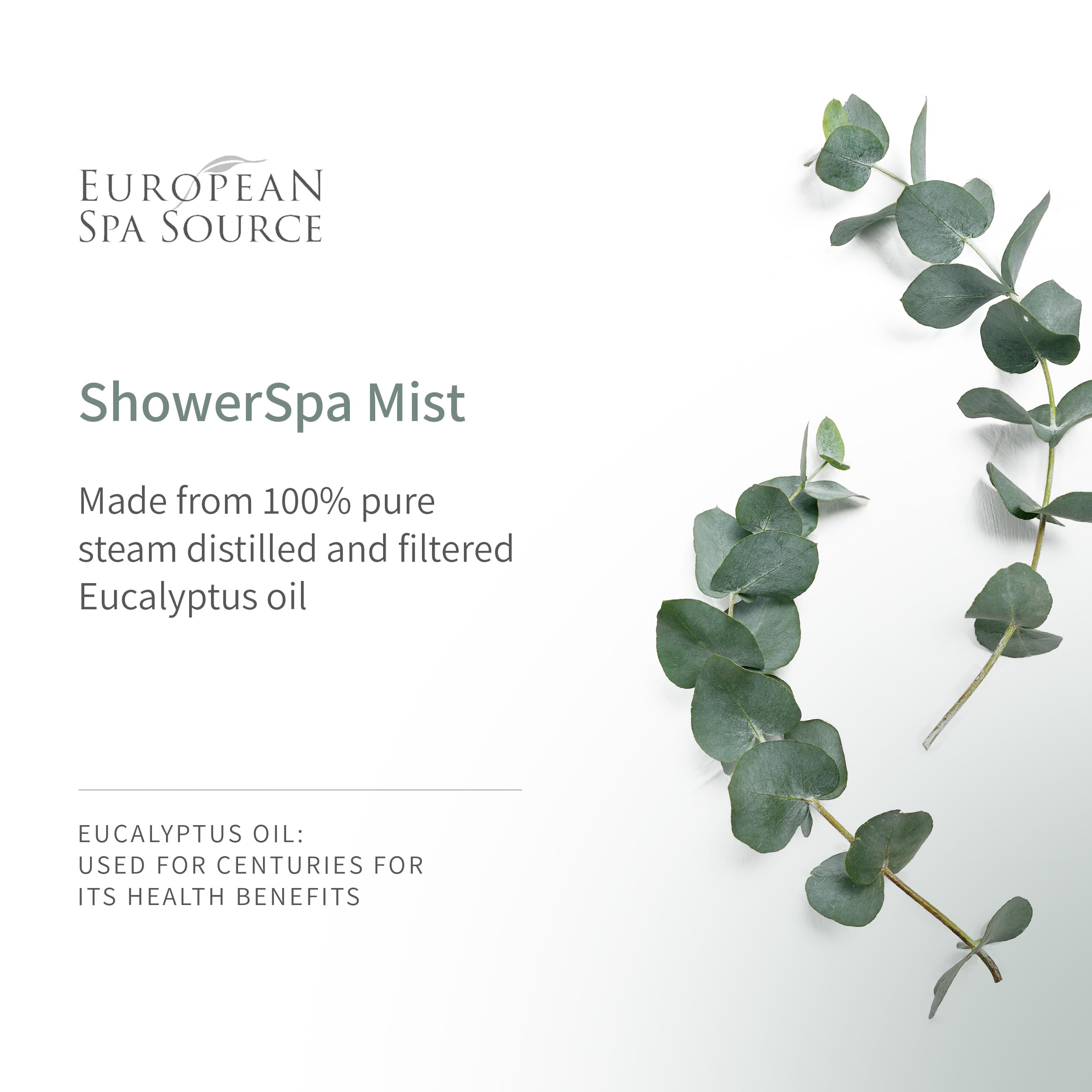 Bathroom with steam and European Spa Source eucalyptus shower spa ambience