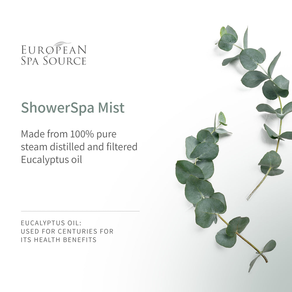Bathroom with steam and European Spa Source eucalyptus shower spa ambience