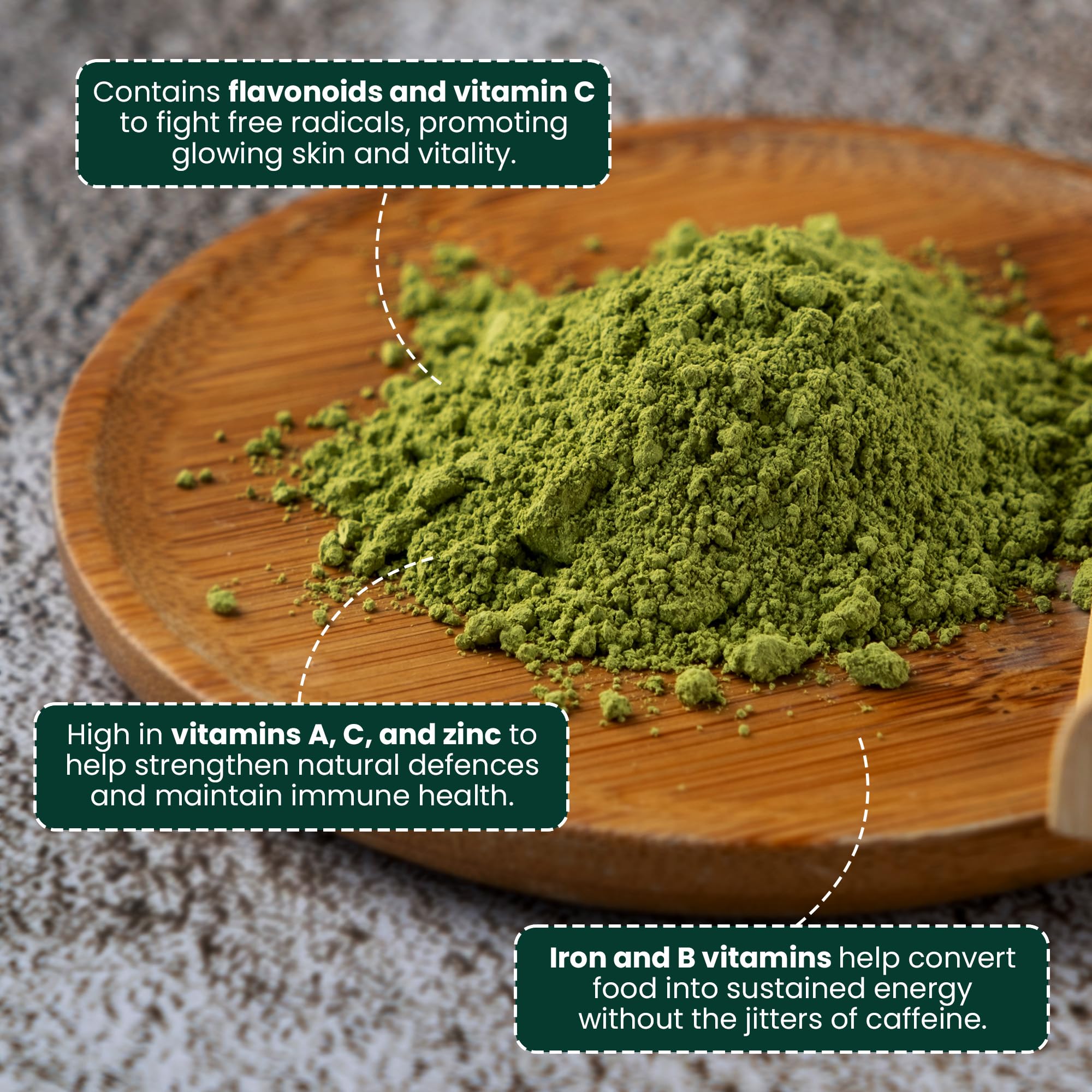 EVARA Moringa powder scoop ready for smoothies and teas