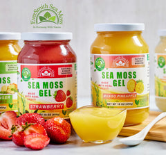 Ingredient studio shot of EverSmith Organics sea moss gel highlighting its nutrient profile