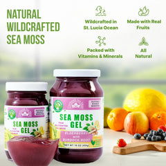 EverSmith Organics sea moss gel jar with scoop, convenient portioning.