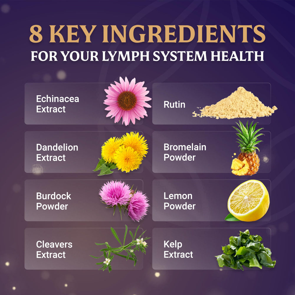 Everfaith LymphaFlo ingredients display with bromelain, dandelion and echinacea