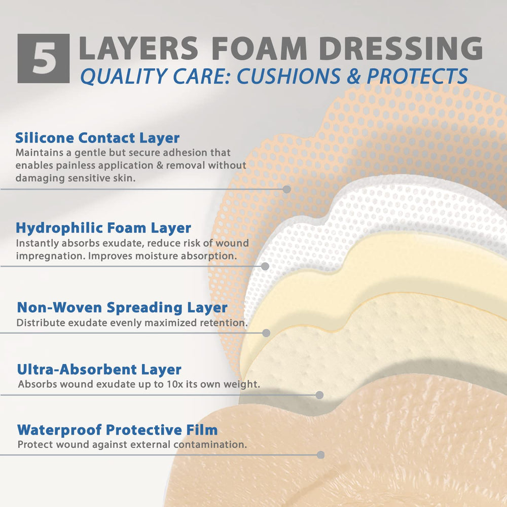 Everlit Sacrum Foam Dressing cross-section shows multi-layer absorbent core for exudate management.