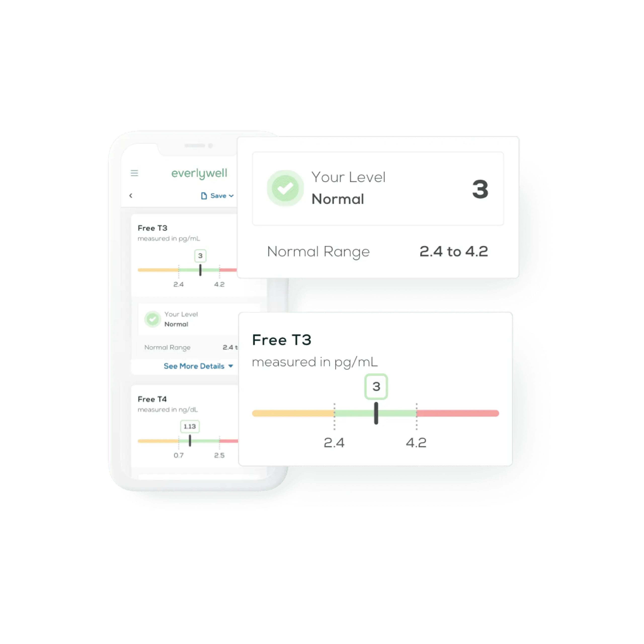 Everlywell online results platform offering clear, shareable thyroid insights.